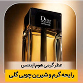 عطر ادوپرفیوم مردانه لوزی دیور هوم اینتنس حجم ۱۰۰ میل شیرین گرم با ضمانت کیفیت